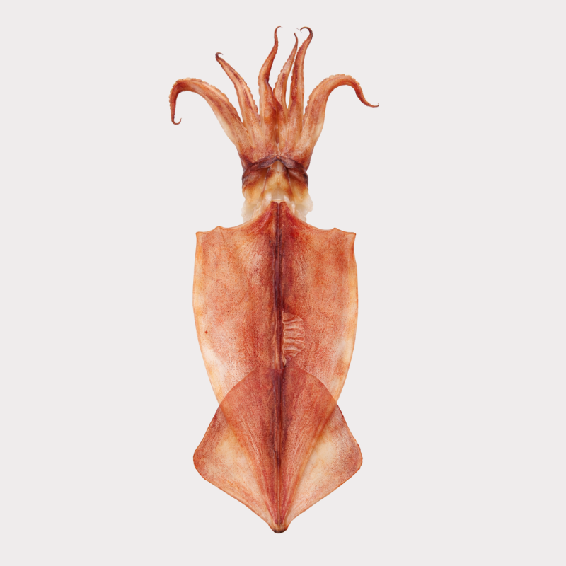 Khô mực và khô cá