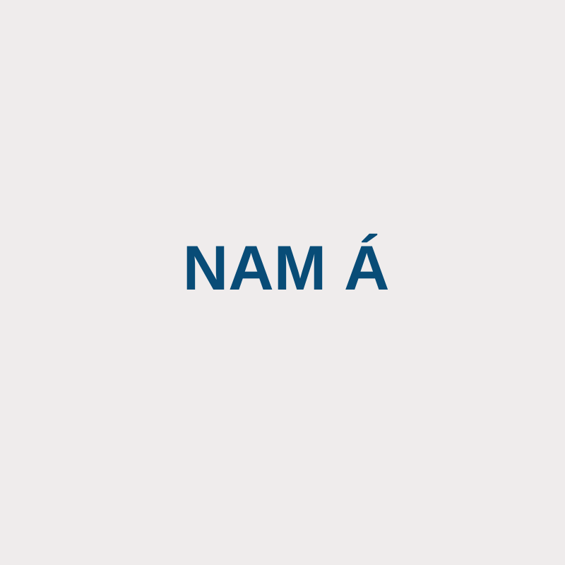 Nam Á