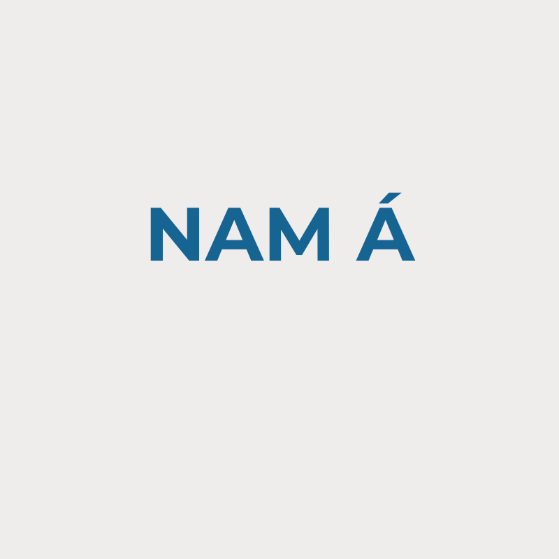 Nam Á