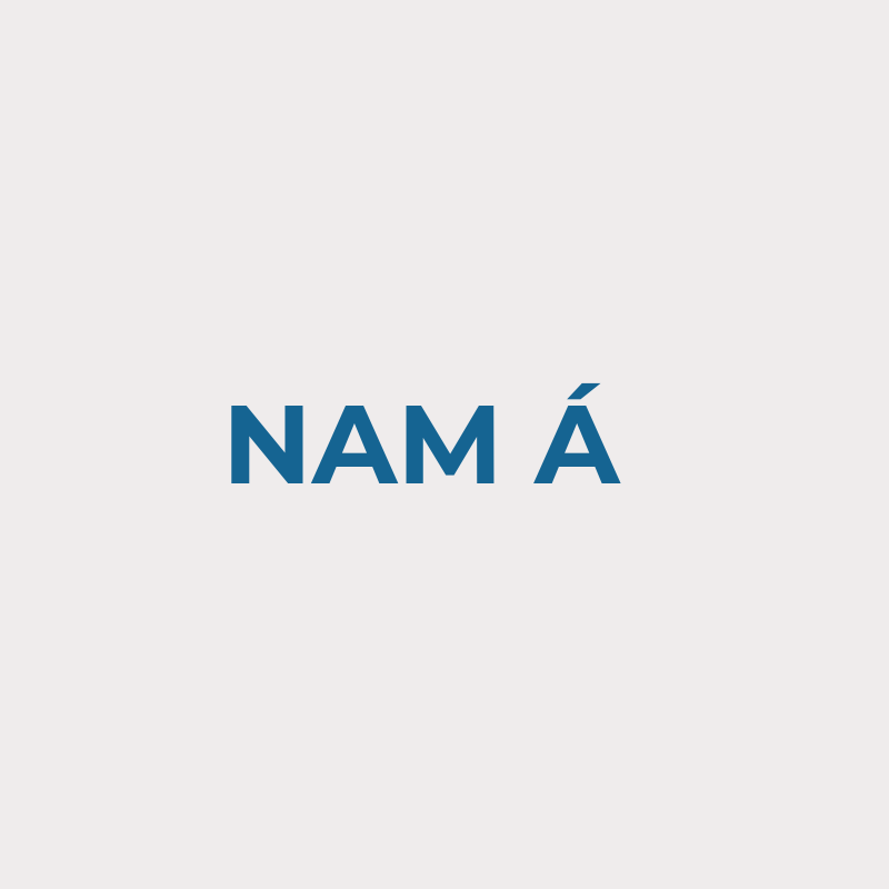 Nam Á