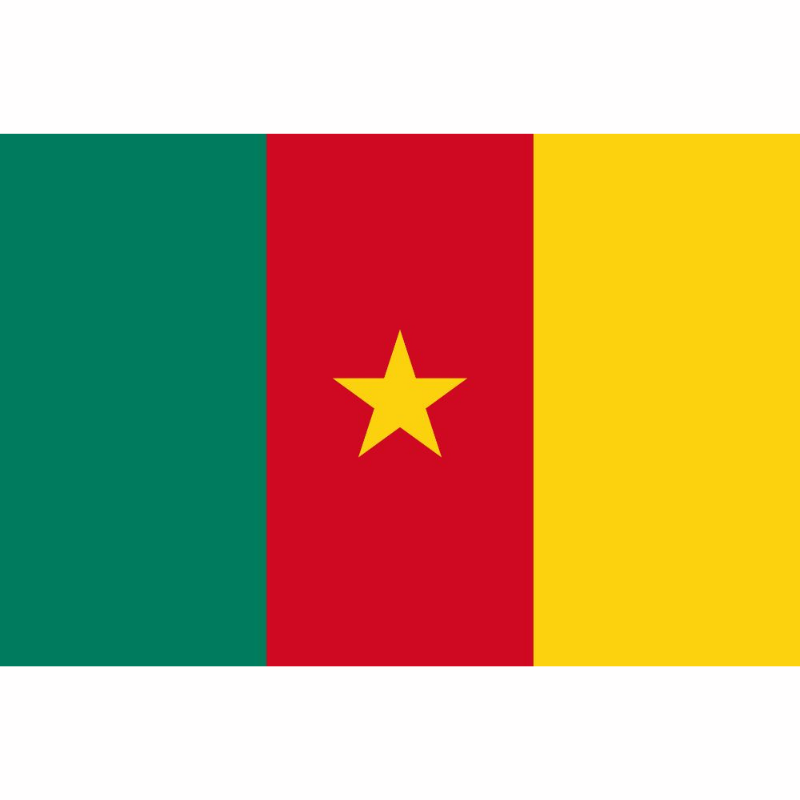 Ship Cameroon