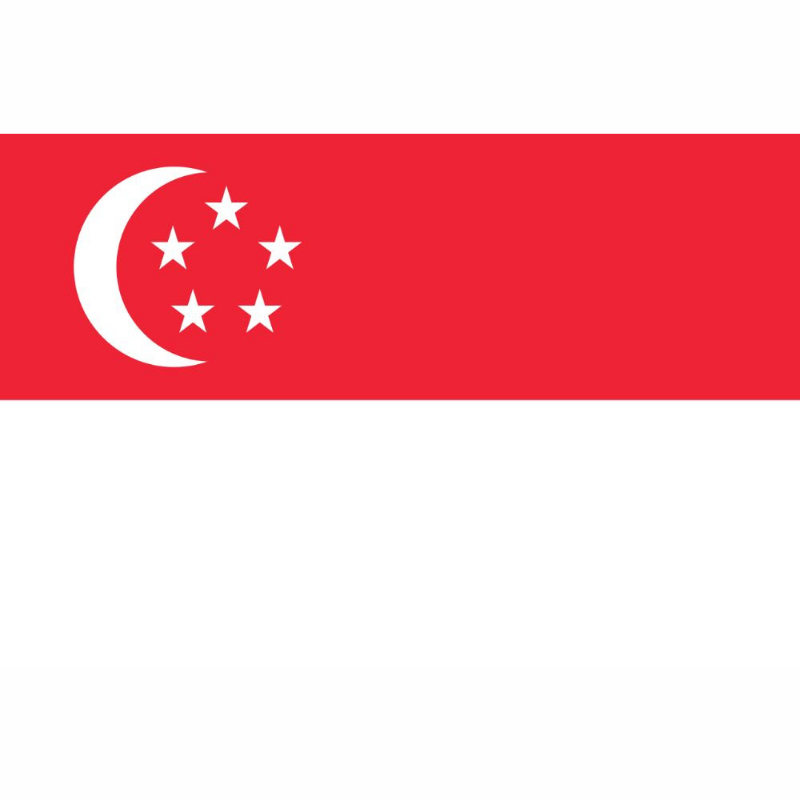 Sim Singapore