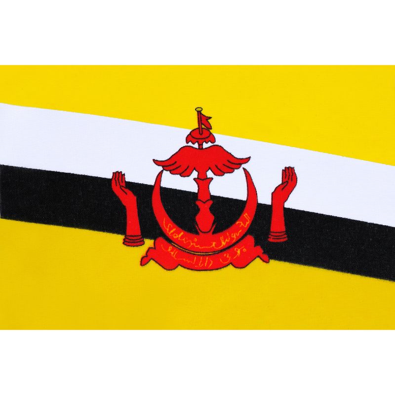 Sim Brunei