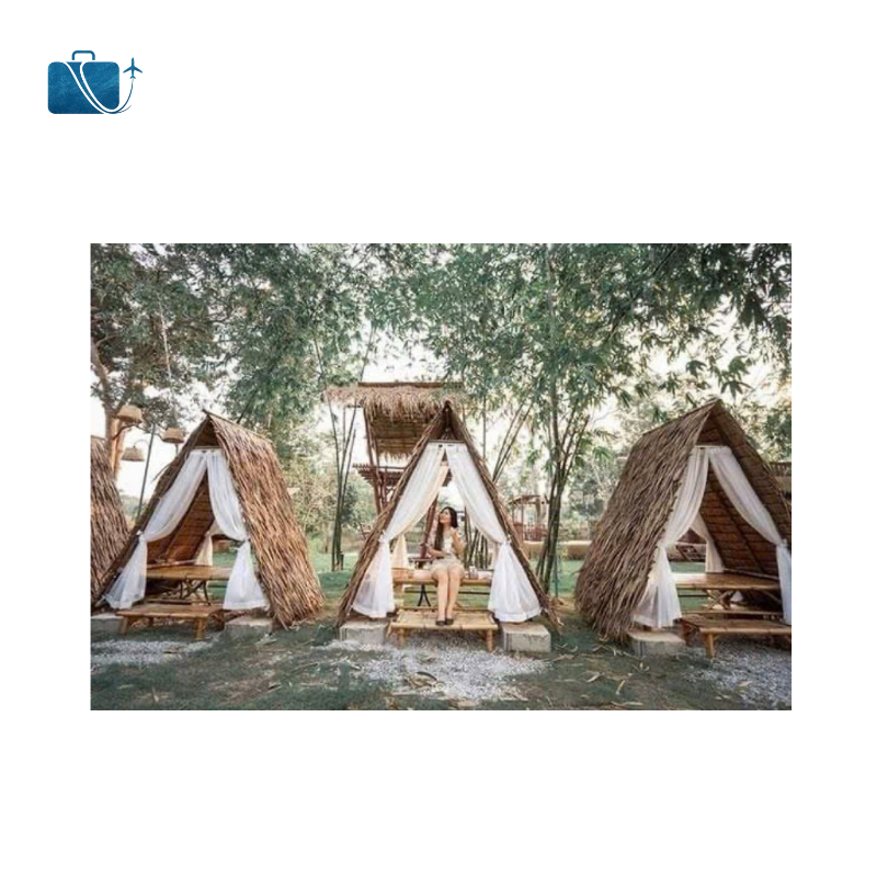 Tấm Lá Đan Thủ Công - Cỏ Bàng 5